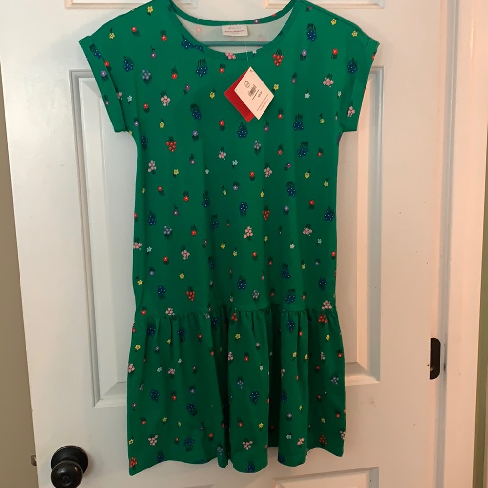 Hanna Andersson dress NEW!